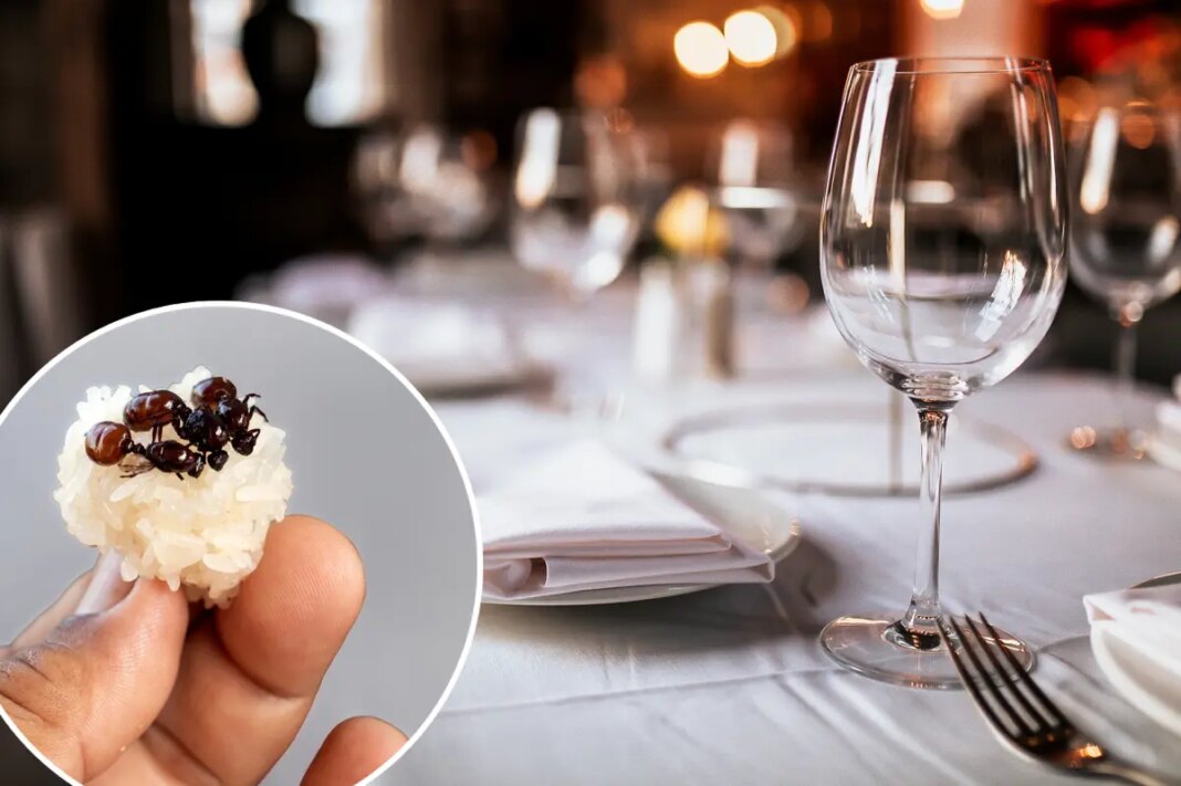 Michelin-starred chef facing jail after allegedly serving nearly 50,000 ants to diners