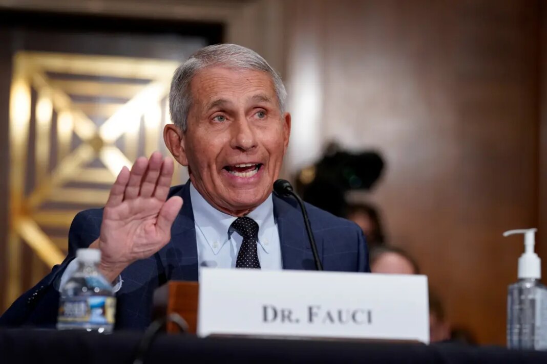 Miranda Devine: Anthony Fauci was the ‘big head’ of COVID response