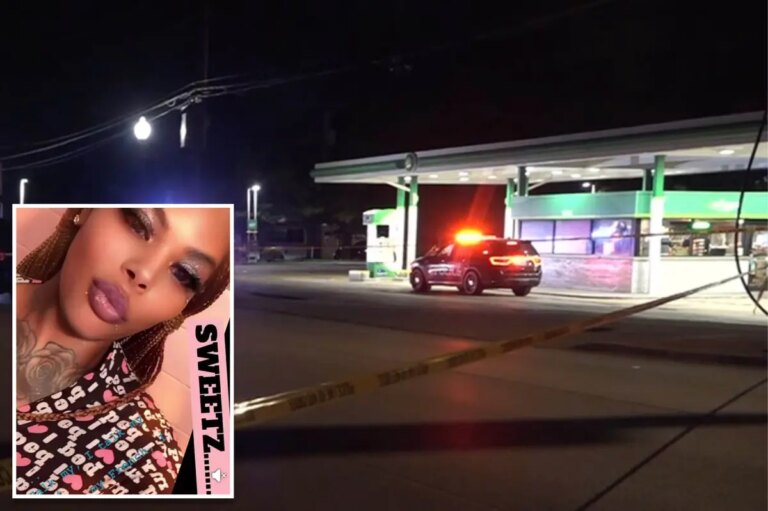Tragic Loss: Mother of Five Fatally Struck by Stray Bullet During Family Outing for Slushies