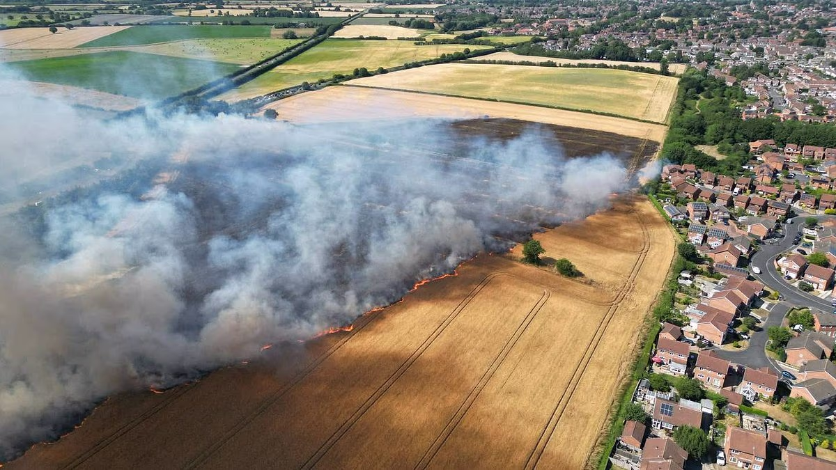 Moment hero farmers stop field blaze spreading to housing estate