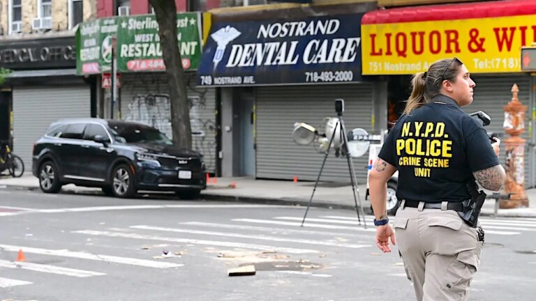 Brooklyn Holiday Weekend Marred by Separate Shootings Involving NYPD Detective and Children
