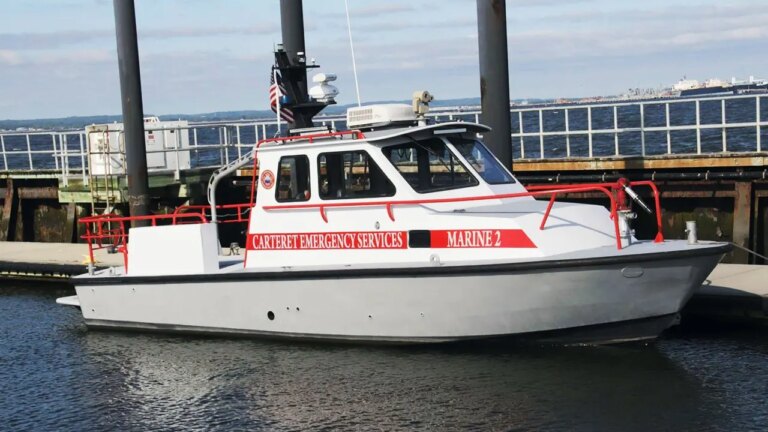 Whale Collision Post-July 4th Causes New York Fire Rescue Boat to Sink in Harbor