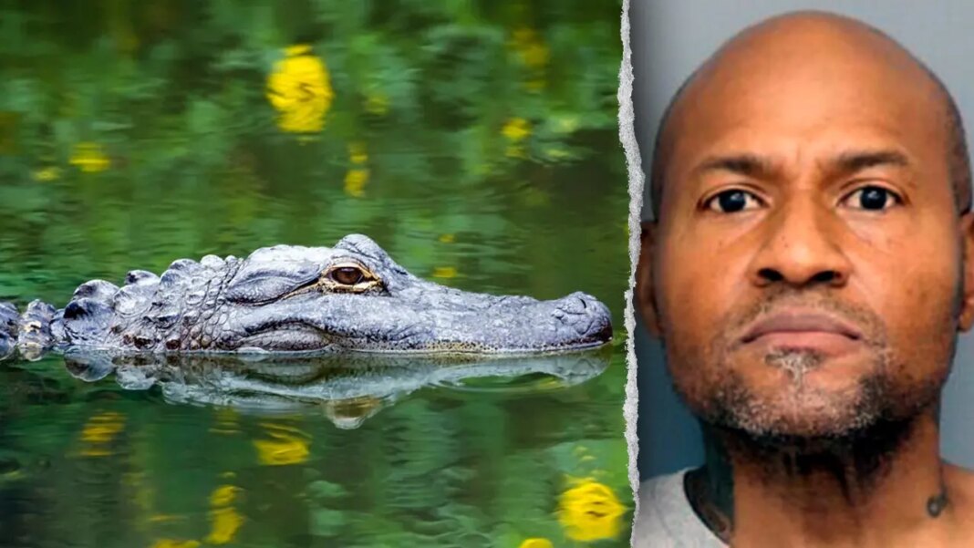 Officers in Maryland respond to reported assault, discover guns and unusual group of animals