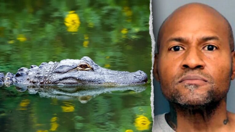 Maryland Police Find Weapons and Surprising Animals After Assault Call