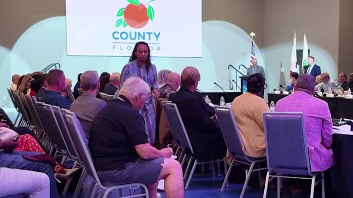 Orange County groups make case for millions in tourist tax funding