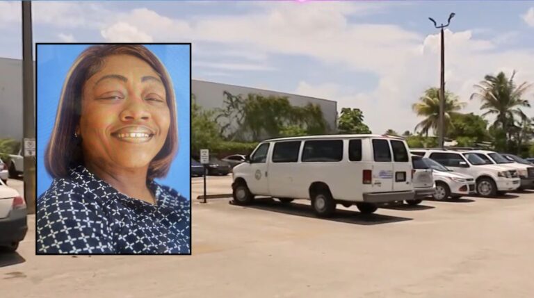 Case Dismissed for Parks Director Who Left Child in Van