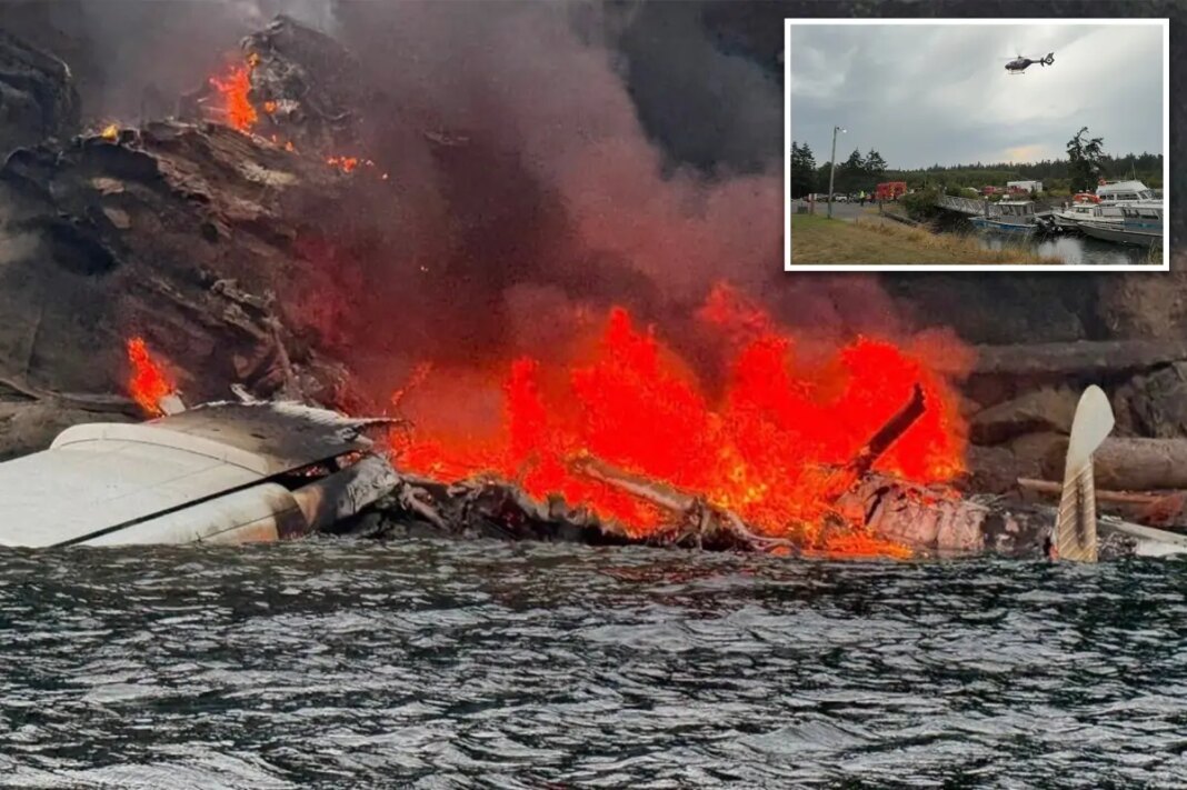Plane carrying 10 passengers and pilot catches fire after crash-landing in Washington island waters