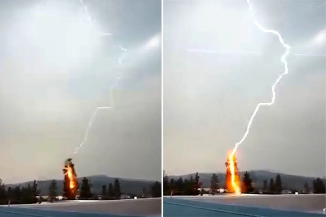 Powerful storm sees 2,000 lightning strikes spark 35 wildfires in just hours in Central Oregon