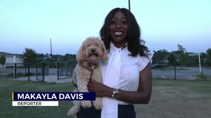 Protecting your pets during the holiday weekend