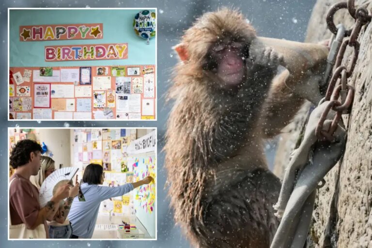 Viral Monkey Celebrates Huge Milestone: 2,500 Birthday Wishes
