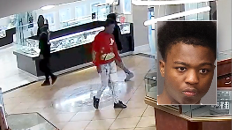 Frequent Offender Arrested Again Within 24 Hours for Bold Jewelry Store Theft