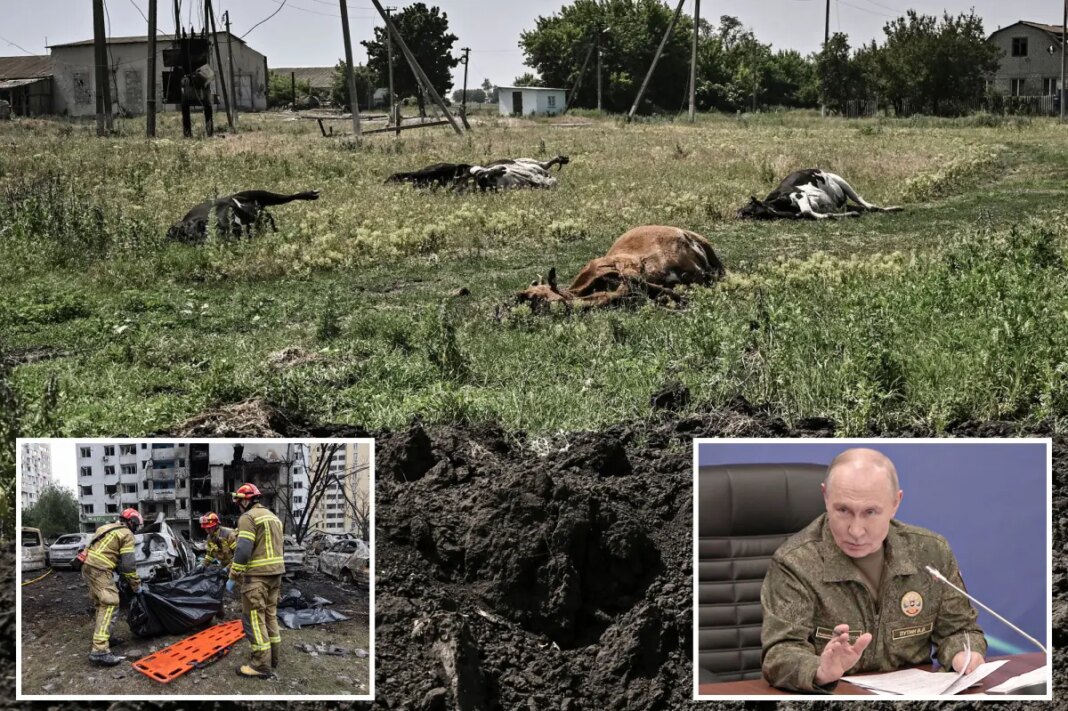Russia accused of dumping anthrax-infected cattle carcasses in Ukraine