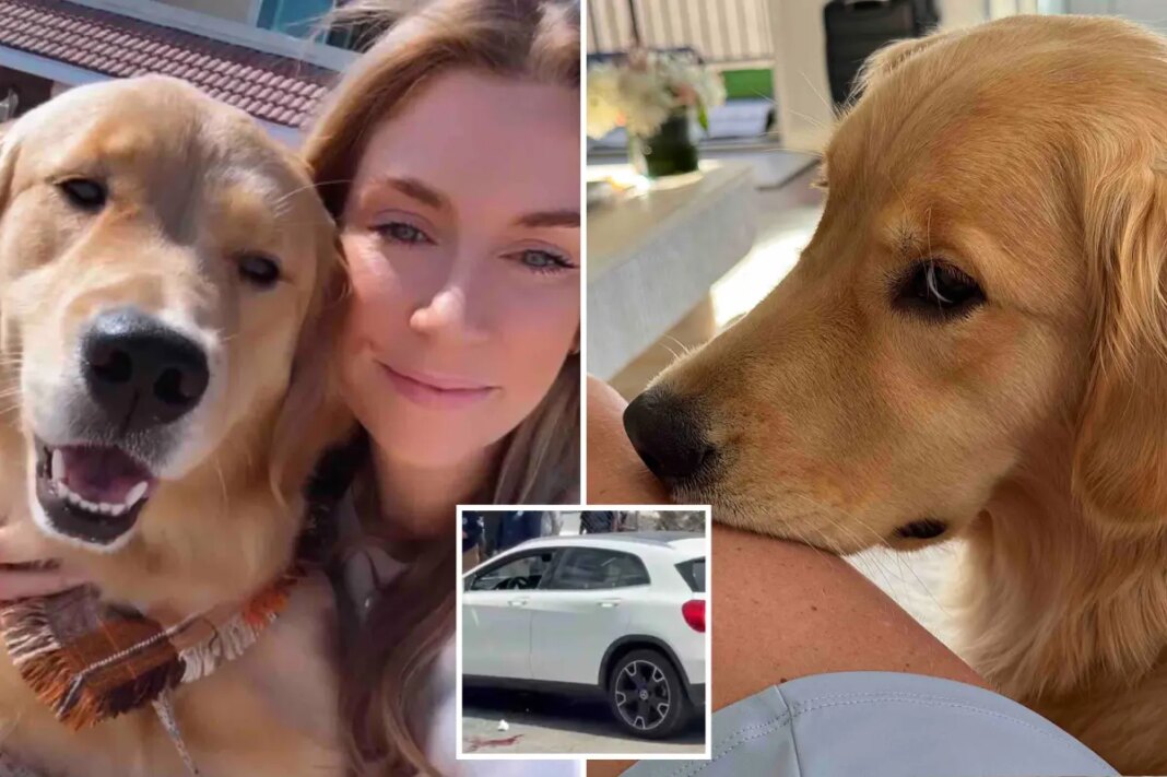 SoCal woman on Mexican beach vacation with her beloved dog shot in attempted carjacking