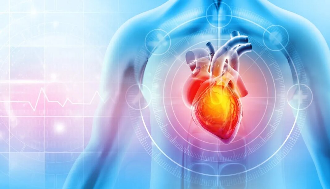 Study finds alarming level of microplastics in heart attack patients’ blood
