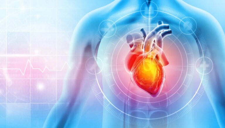 Alarming Microplastics Levels Found in Blood of Heart Attack Patients: New Study Reveals