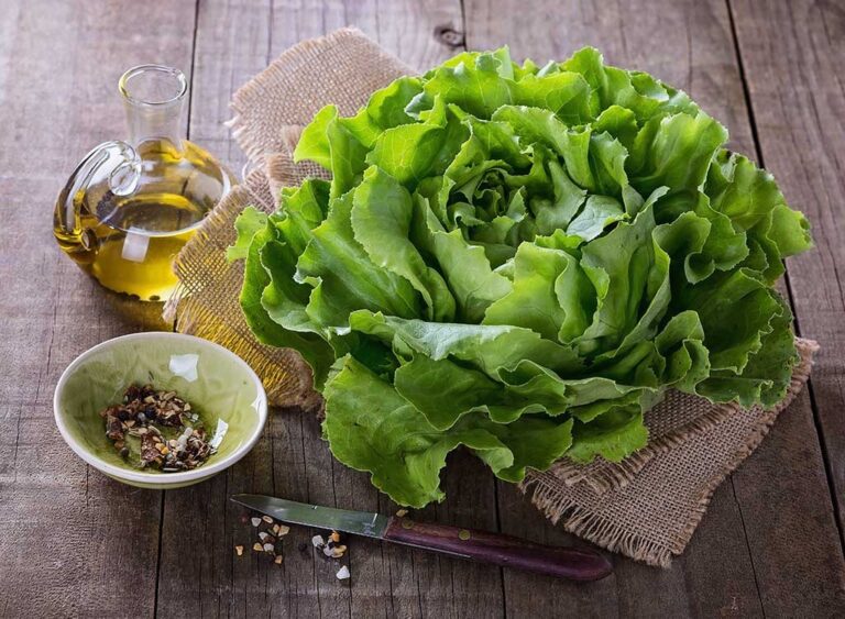 Taco Bell Halts Lettuce Use Amid Parasite Crisis Sickening 1,600
