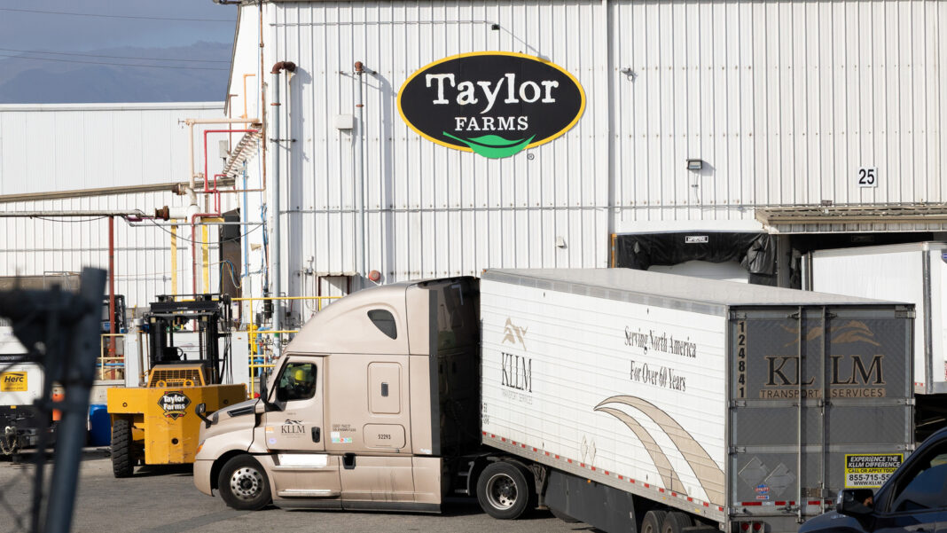 Taylor Farms recalls lettuce in 27 states amid cyclosporiasis outbreak: What to know