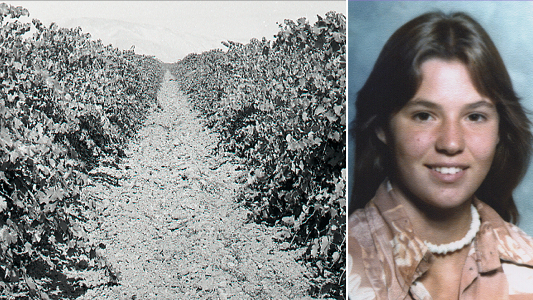 Teen found in shallow California vineyard grave identified nearly 50 years later as family warns killer