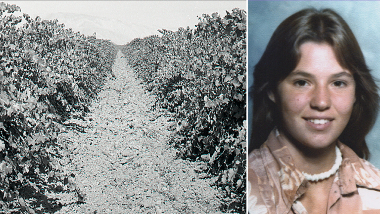 Solved After 50 Years: Teen Identified in Vineyard Mystery