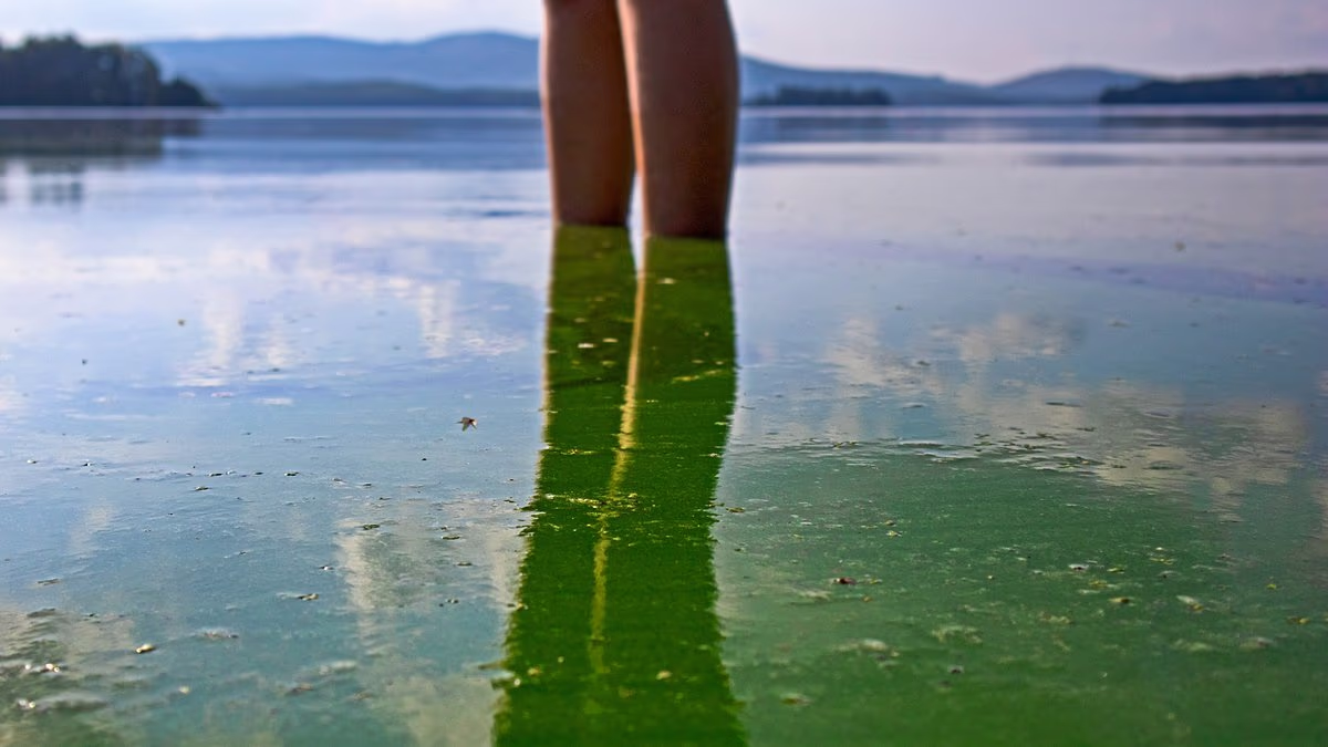 Toxins in oceans discovered to be airborne... posing dangerous risk