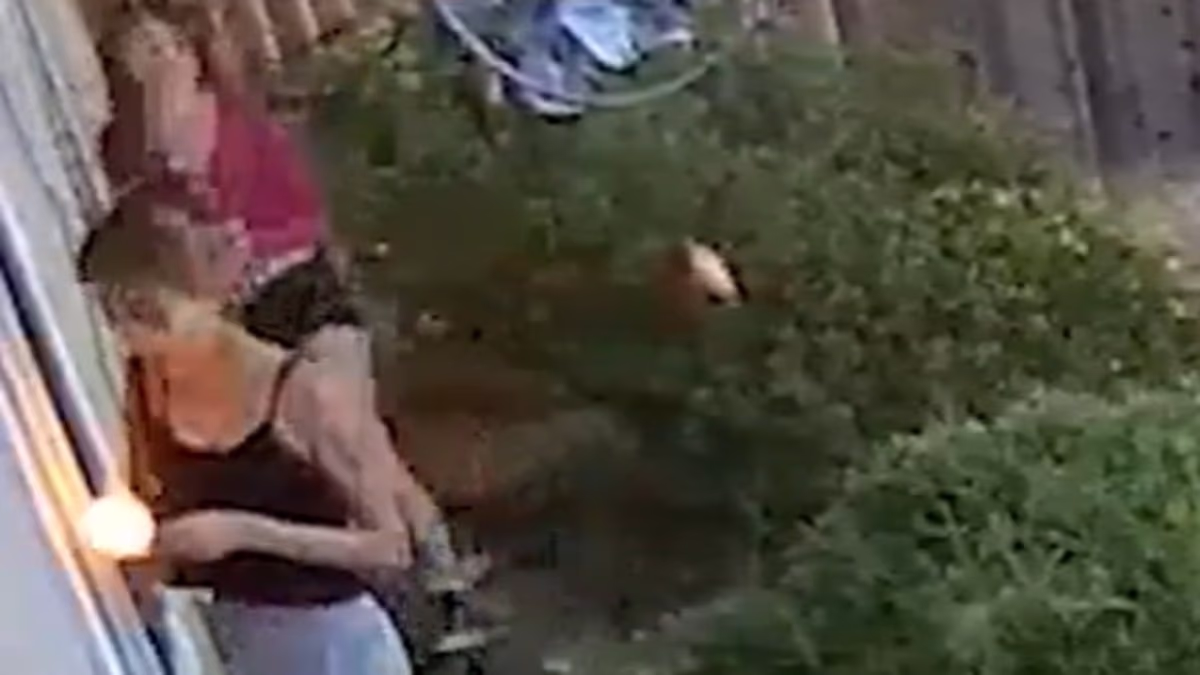 Trio of girls filmed hurling lit firecracker in baby's nursery window