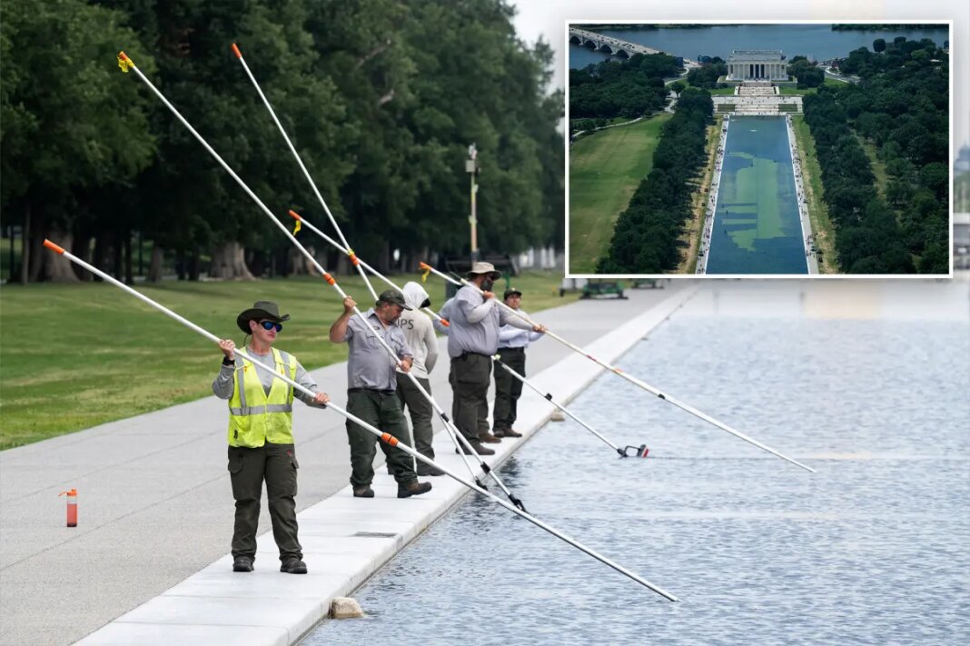 Trump admin will use same company to repair Reflecting Pool's damaged liner, Burgum says