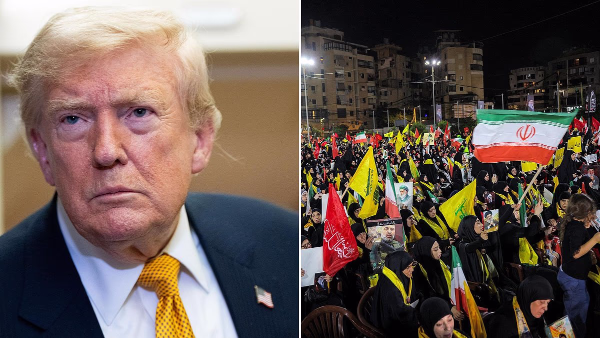 Trump launches Operation B**** Slap to retaliate for Iran firing ships