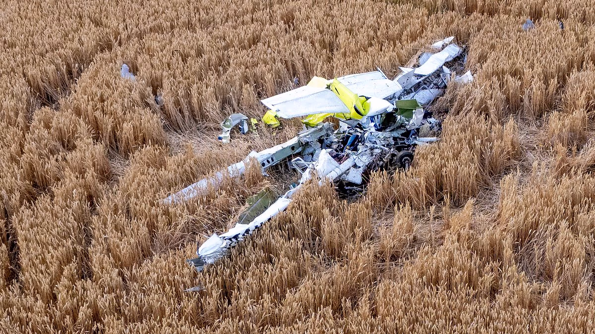 Two dead after aircraft crashes into field during 'flight experience'