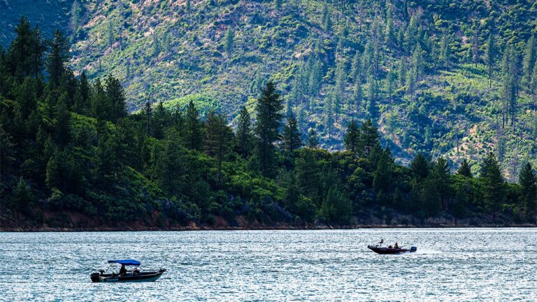 California Forest Workers Held Hostage by Father-Son Duo Sparks Outrage and Legal Action
