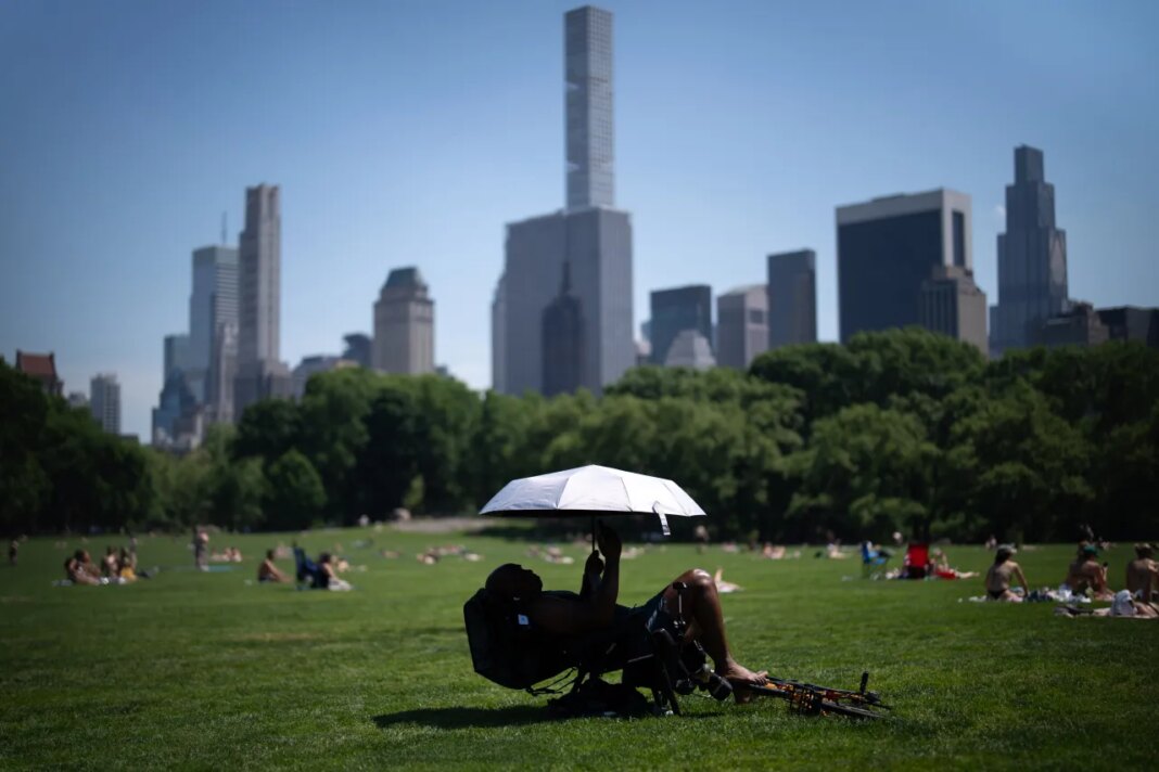 FILE - A person uses an umbrella to shield themselves from the sun during a heat advisory in Central Park, May 19, 2026, in New York. (AP Photo/Adam Gray, File)