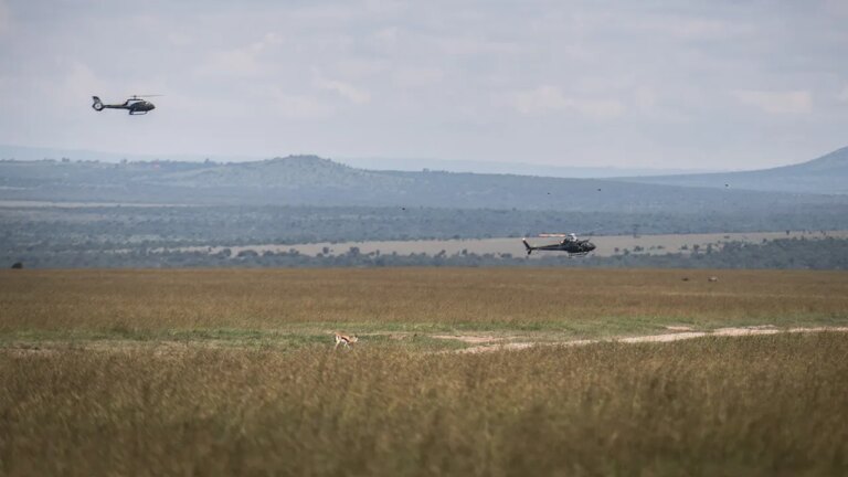 Tragic Loss: Helicopter Crash in Kenya Claims Lives of Five Americans, Including Telemundo Executive