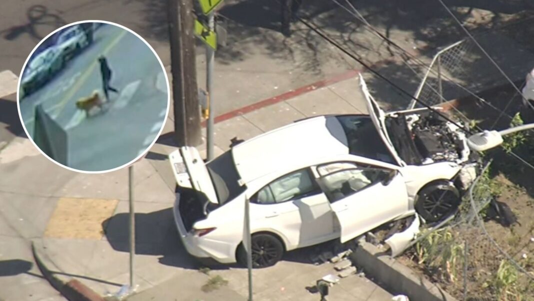 7, 4-year-old brothers take parents' car, critically injure woman walking dog in Oakland, California crash: Police