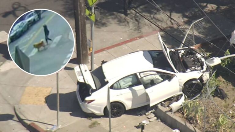 Four Brothers, Aged 7, Take Parents’ Car in Oakland, Critically Injuring Woman Walking Dog