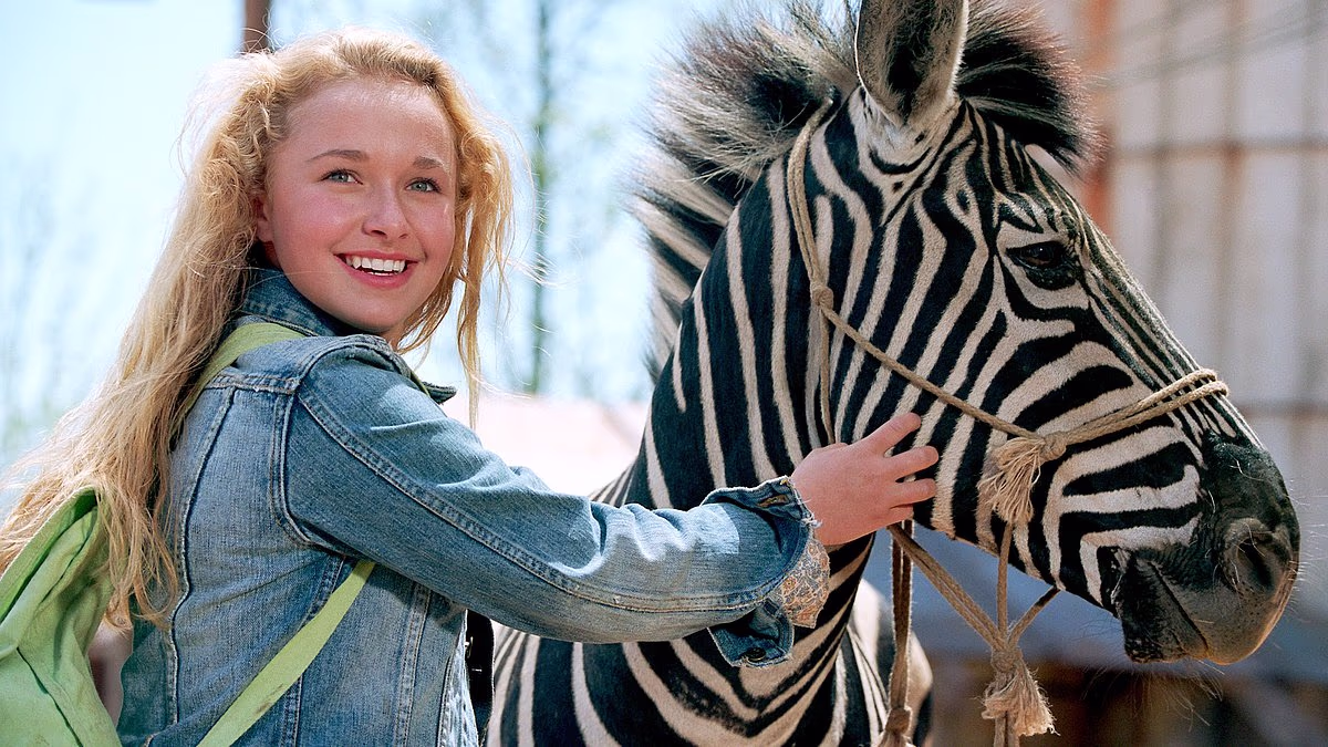 Agony from ZEBRA accident haunted Hayden Panettiere for two decades