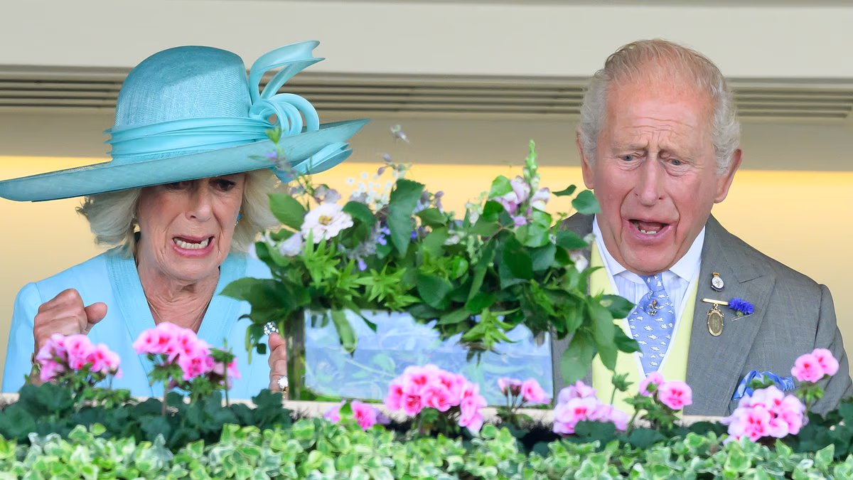 All the king's horses! Moment of agony for despairing Charles and Queen Camilla as his entry is beaten into second place at Royal Ascot