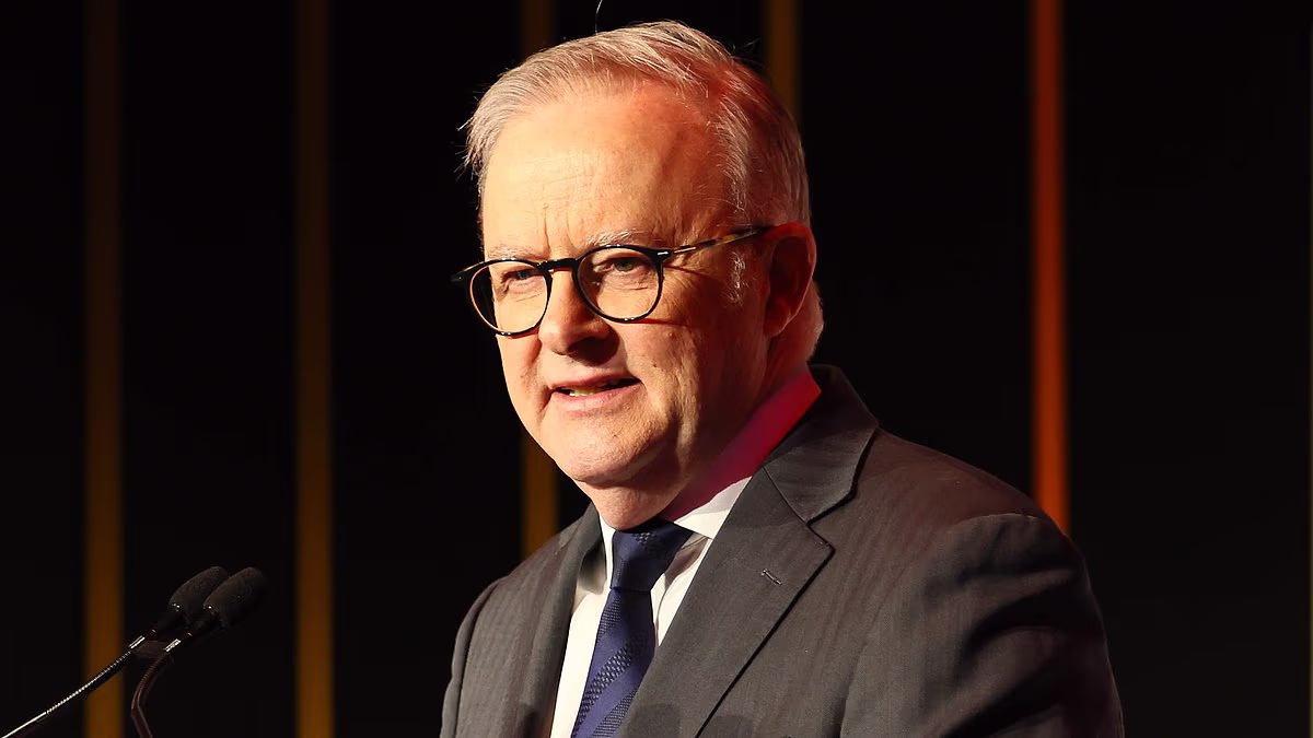 Anthony Albanese's government hires 28 public servants a day