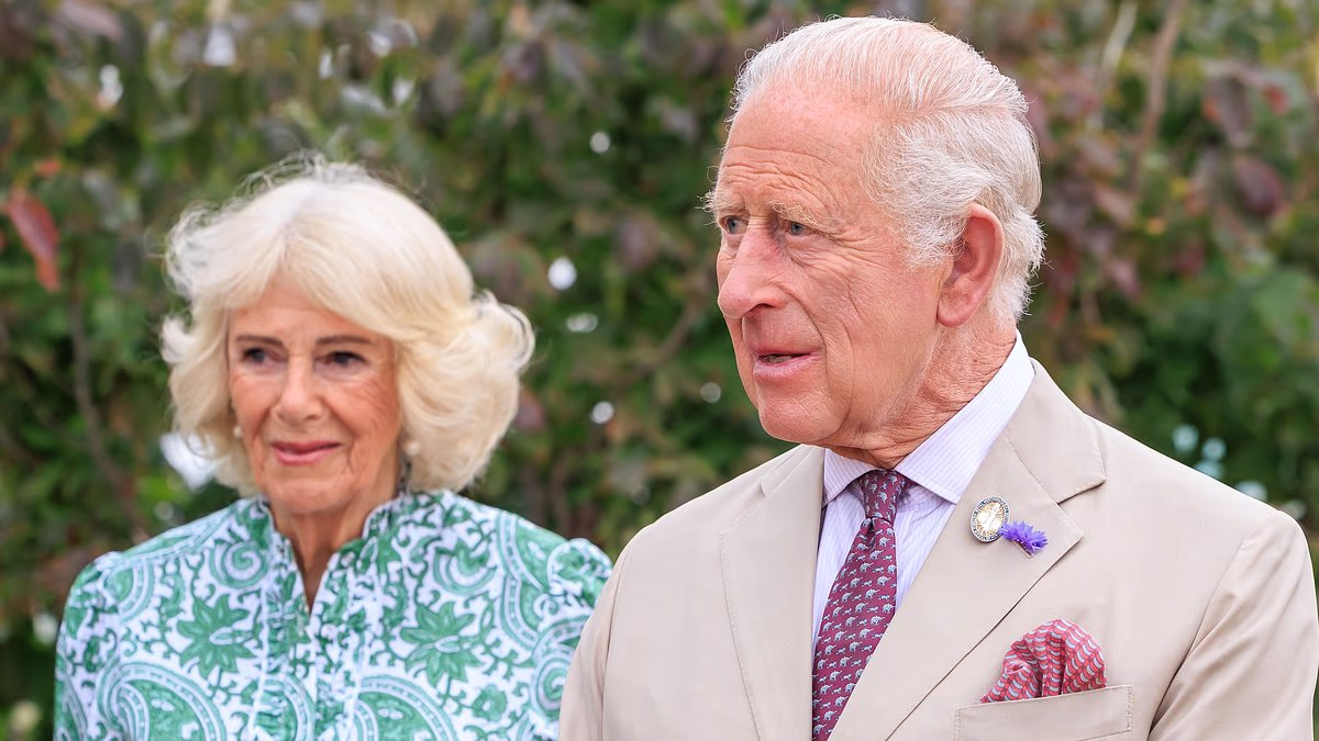 BOWER: Camilla's gesture to Harry appears to  calm the Sussexes' fears