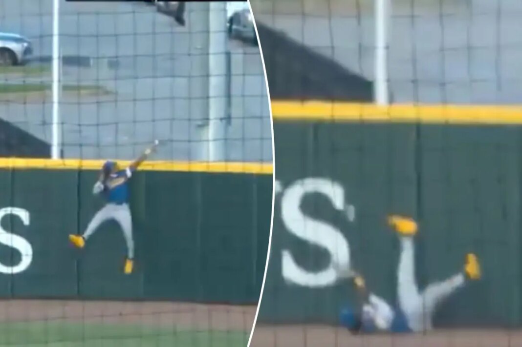 Brewers minor leaguer makes catch of the year with homer robbery