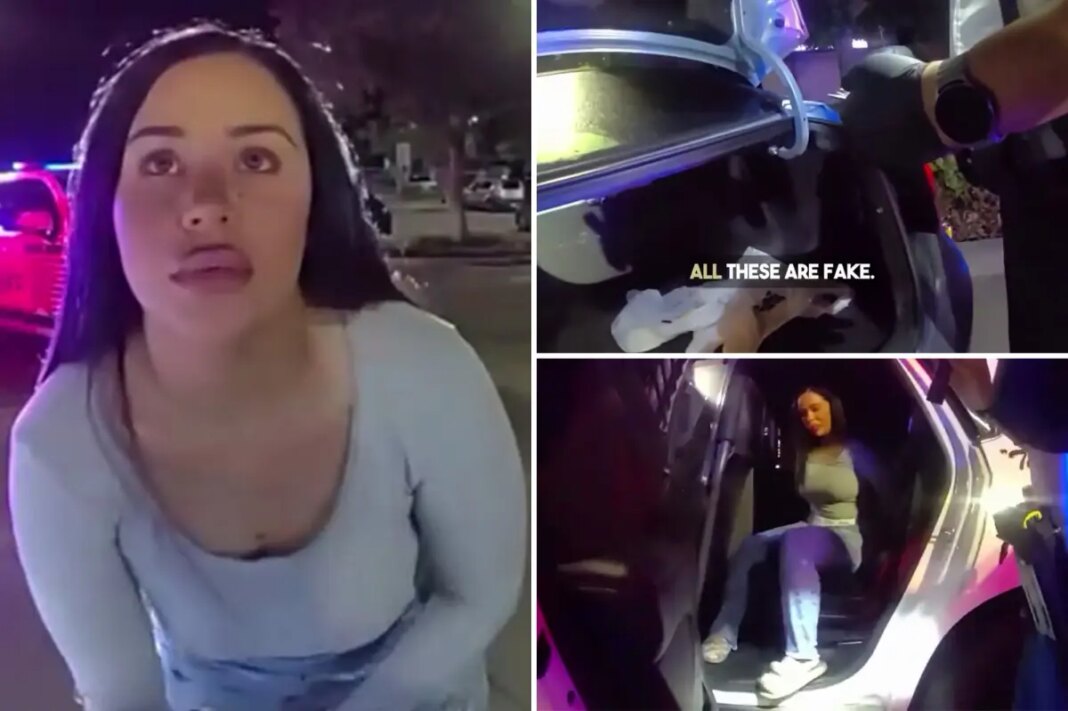 Canadian woman Bryce Swanson caught with 12 fake IDs during Florida traffic stop