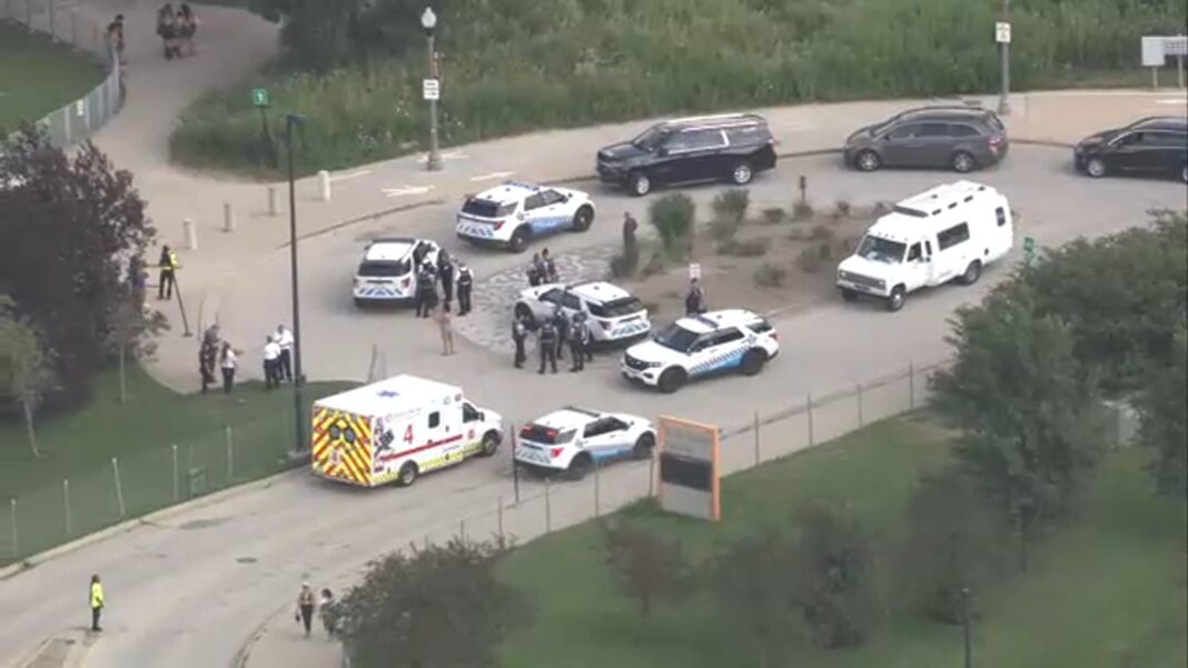 Chicago crime: 2 off-duty police officers among 4 victims injured in fight at 31st Street Beach on South Side, police say