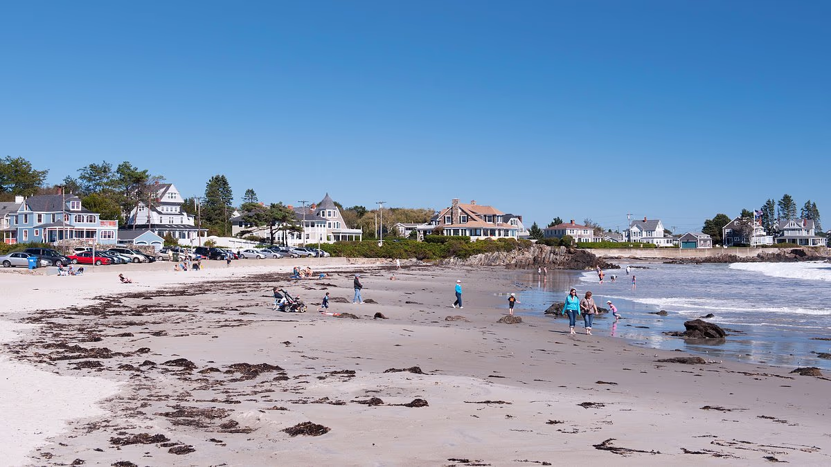 Child disappeared at beach because parent was busy scrolling on PHONE
