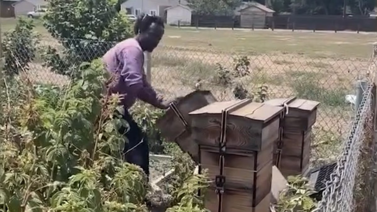 Colorado police ignored 911 calls about man wrecking community garden
