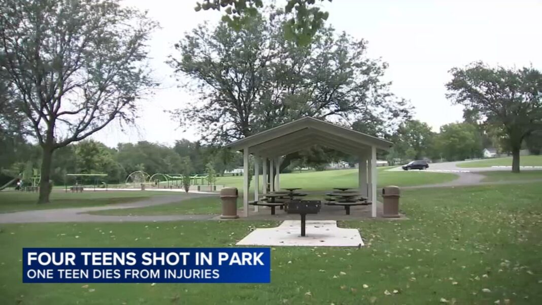 Crest Hill shooting: Kamarion Coleman killed, 3 injured at Crest Hill Memorial Park in 1900-Block of Willow Court, officials say