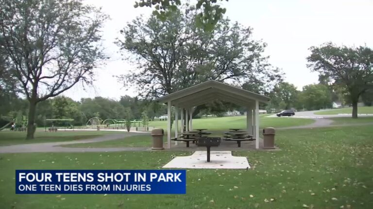 Crest Hill Park Shooting: Kamarion Coleman Killed, 3 Hurt