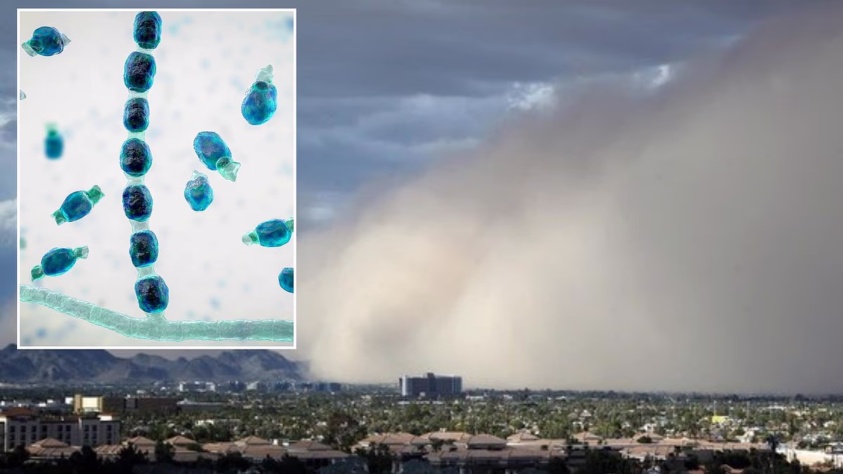 Deadly 'fungal storm' barrels toward major US cities TODAY