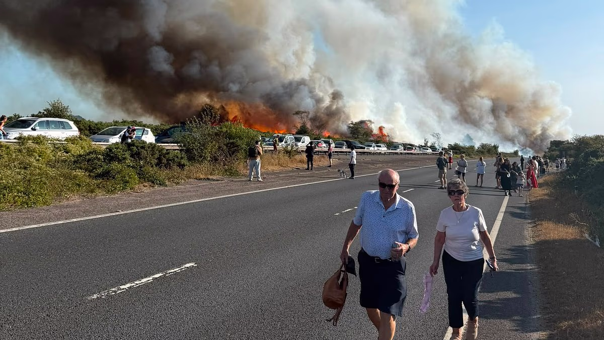 Families are forced to abandon their cars and for walk miles as burning van sparks huge wildfire on dual carriageway - with smoke visible from 30 miles away as England suffers record drought  