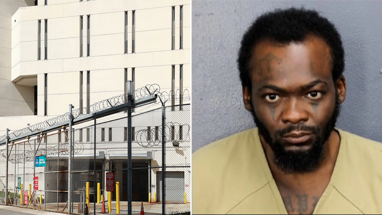 Florida Man Accused of Machete Attack on Sleeping Sister and Toddler, Raises Grave Safety Concerns