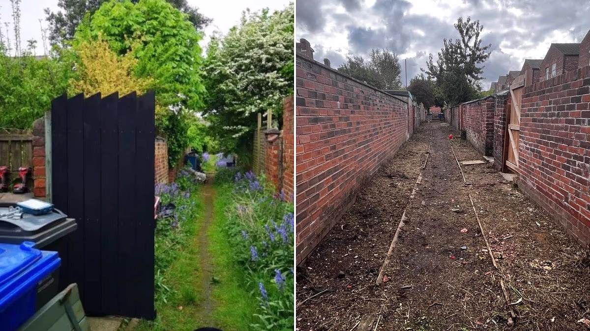Fury as workmen rip out community garden