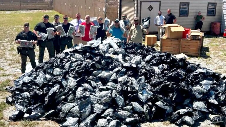 Sheriff Uncovers 1,800 Pounds of Suspected Black-Market Marijuana Shipped from California to Georgia
