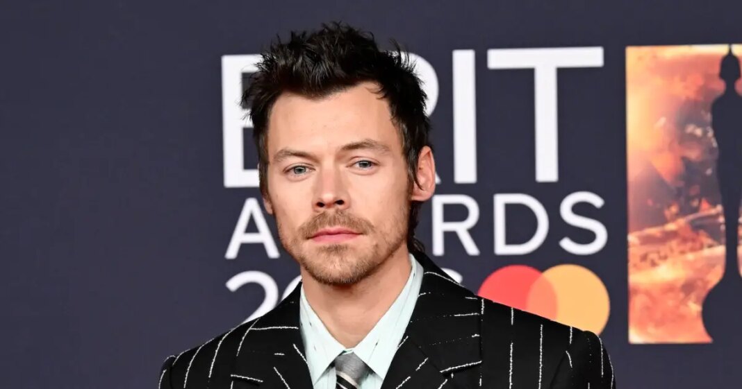 Harry Styles Makes Rare Comment About What He Did During Touring Break